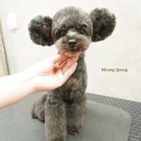 画像3130