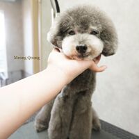画像3133