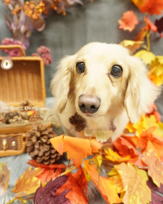 画像3171