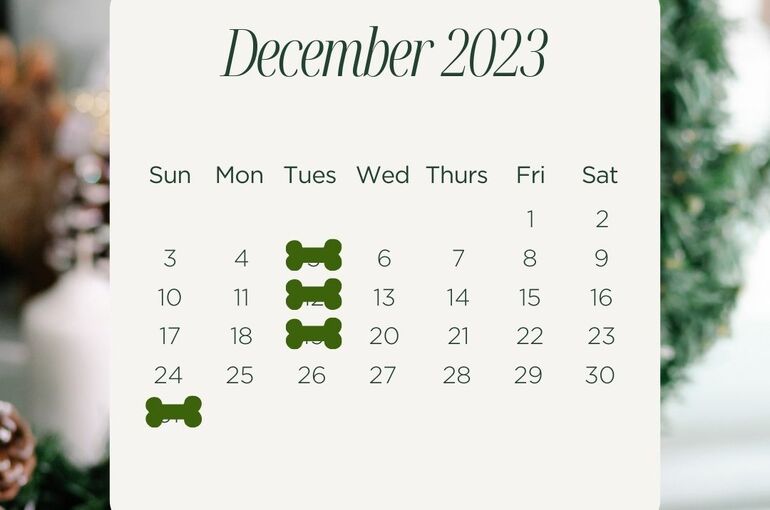 １２月休み