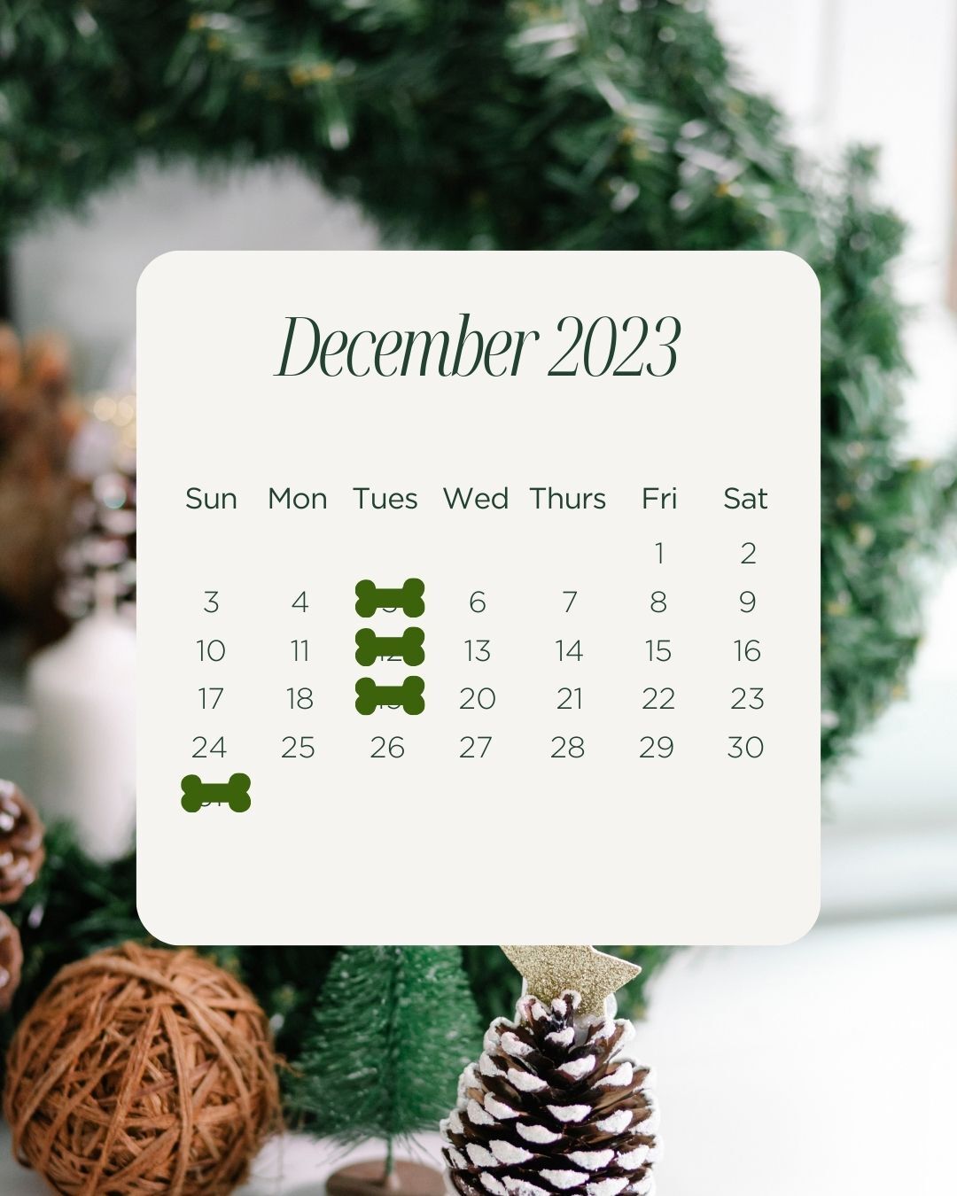 １２月休み