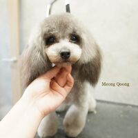 画像3353