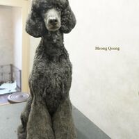 画像3398