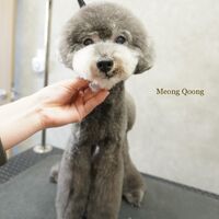画像3401