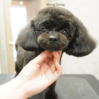 画像3430