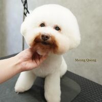 画像3437