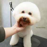 画像3438