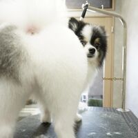 画像3478