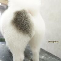 画像3479