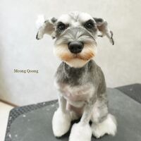 画像3491
