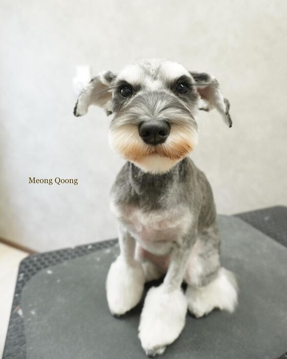 画像3491