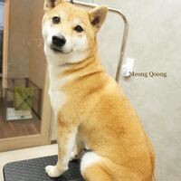 画像3526