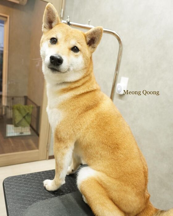 画像3526