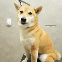 画像3527