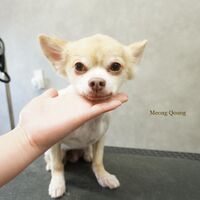 画像3544