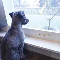 画像3583