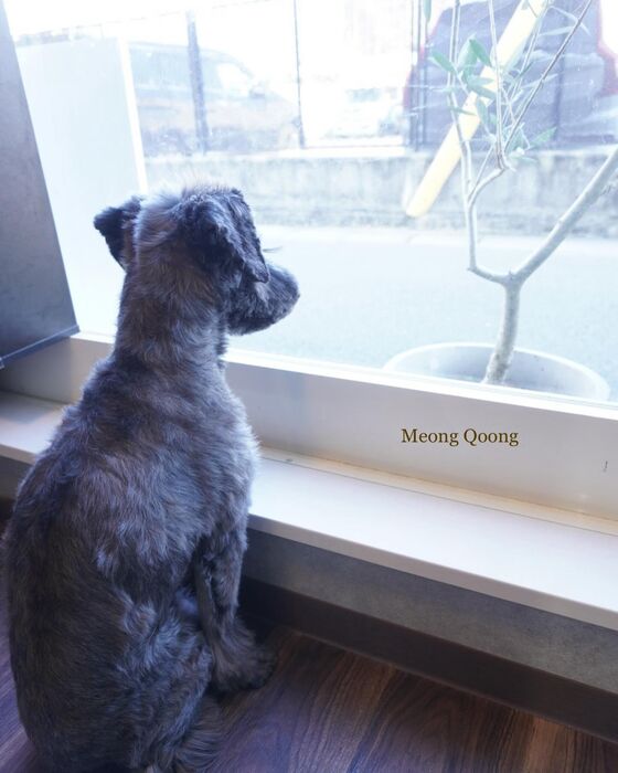 画像3583