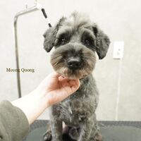 画像3585
