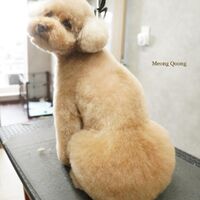 画像3599