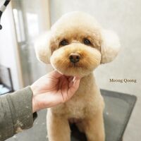 画像3600