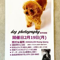 画像3656