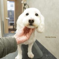 画像3682