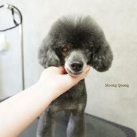 画像3706