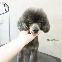画像3707