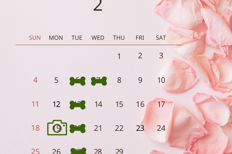 2月