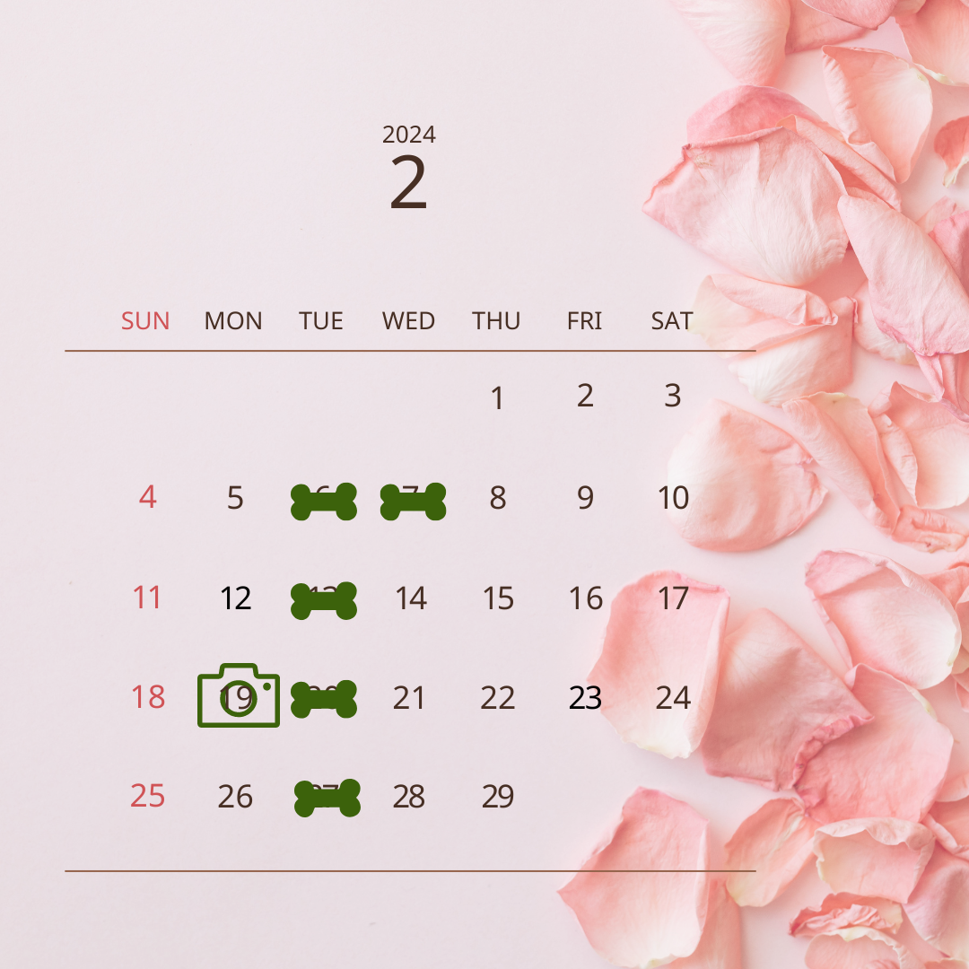 2月