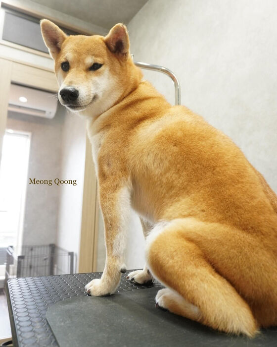 画像3861