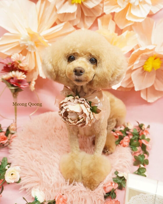 画像3915