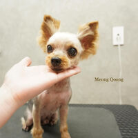 画像3992