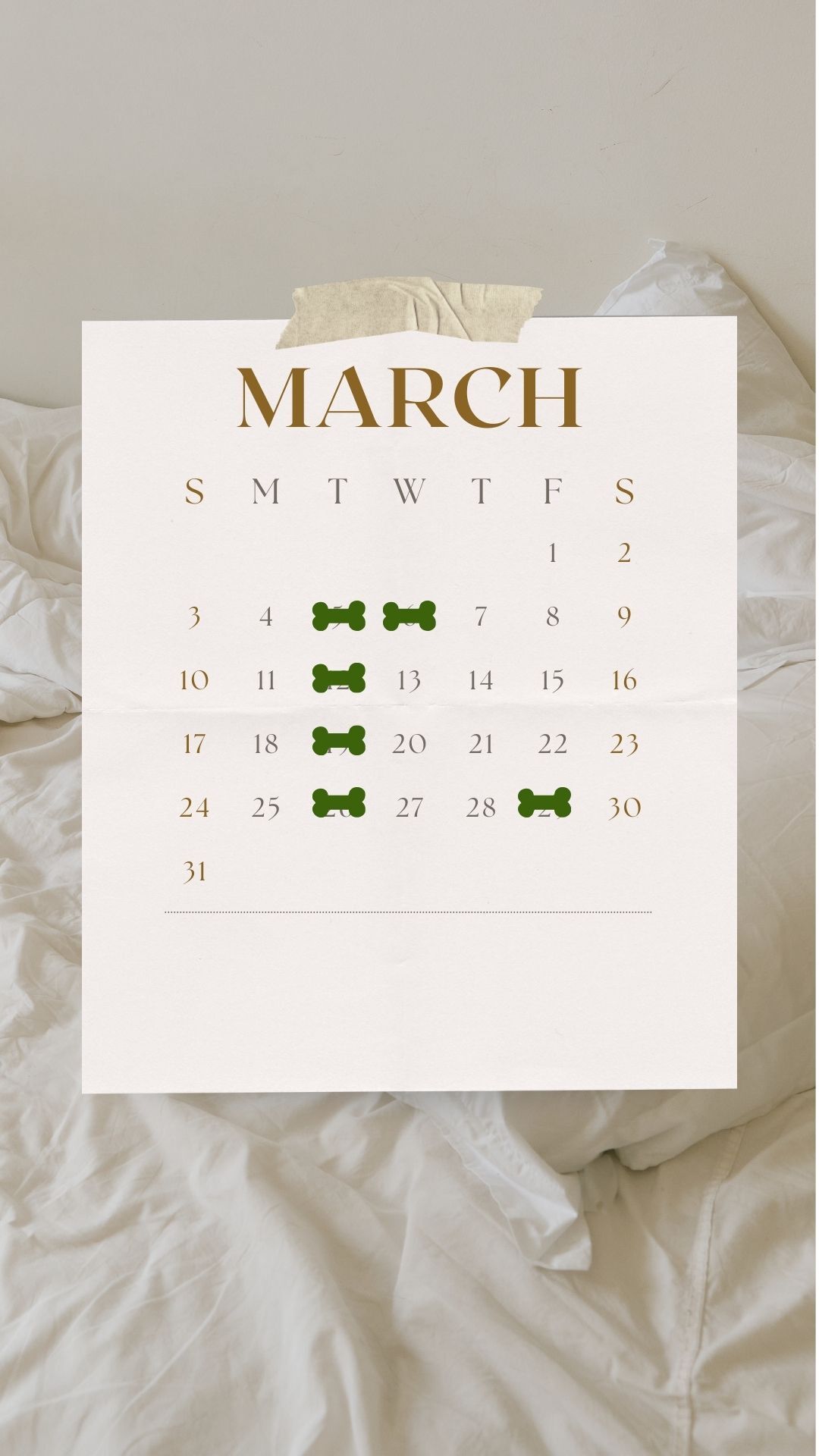 3月