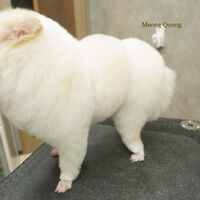 画像4138