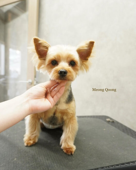 画像4148