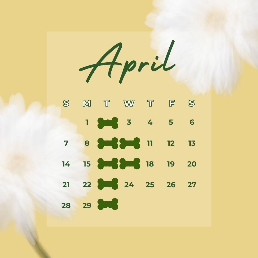 4月