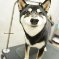 画像4484