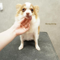 画像4619