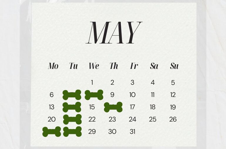5月