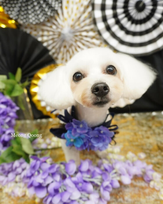 画像4666