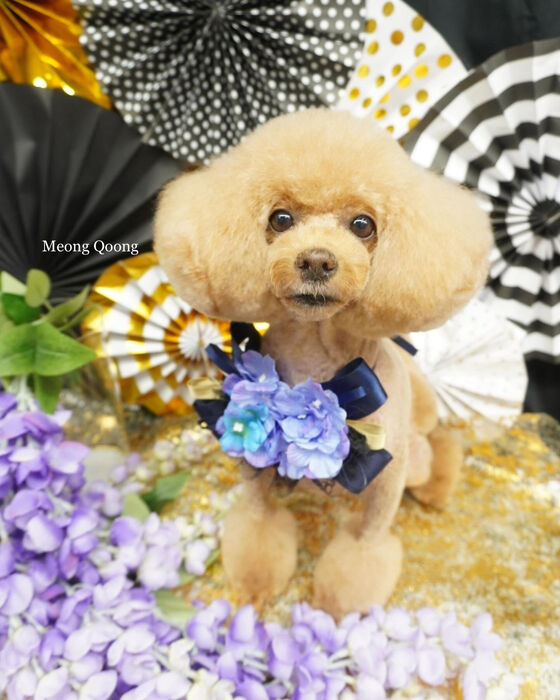 画像4739