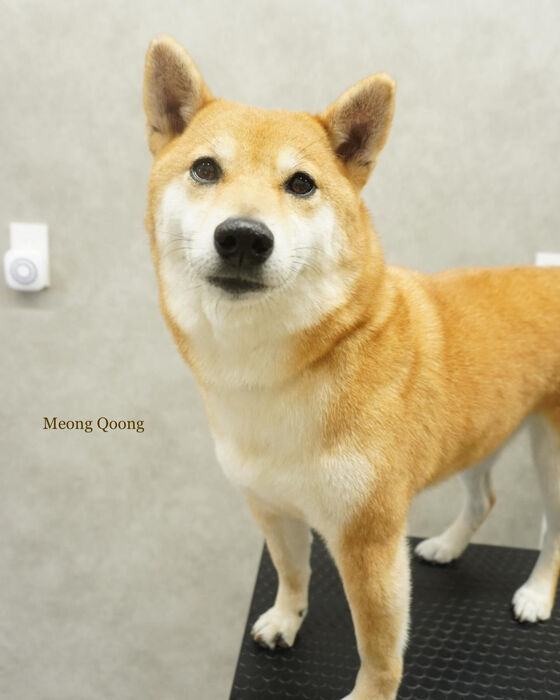 画像4742
