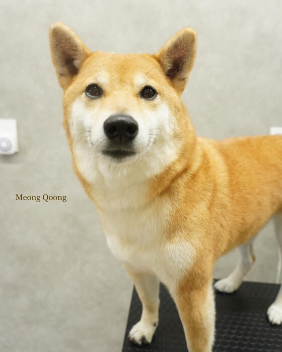 画像4743