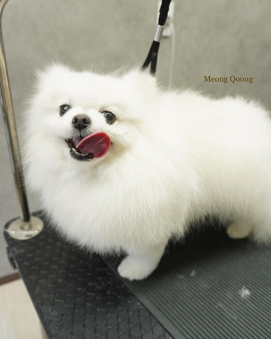 画像4779