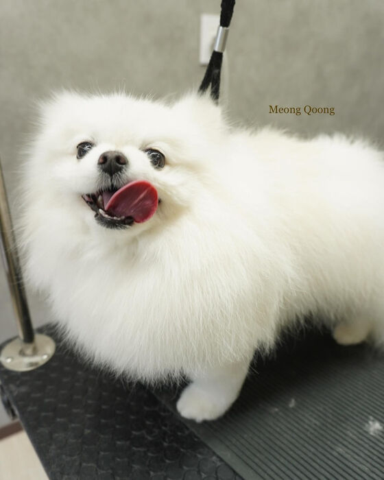 画像4780