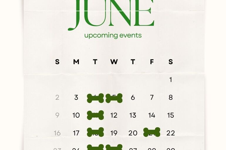 ６月