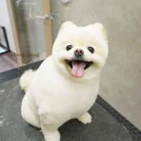 画像4873