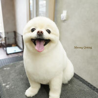画像4874