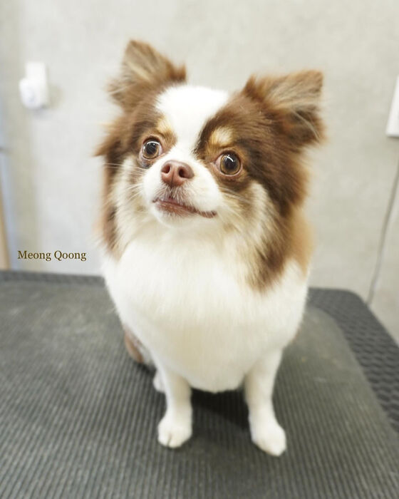 画像4998